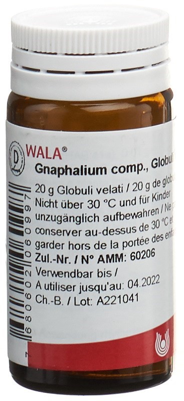 WALA gnaphalium comp., image principale