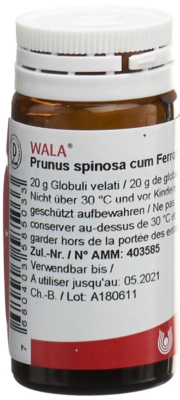 WALA Prunus spinosa ferm c Ferro 3 D