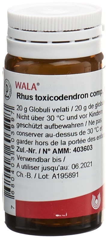 WALA rhus toxicodendron comp., image principale