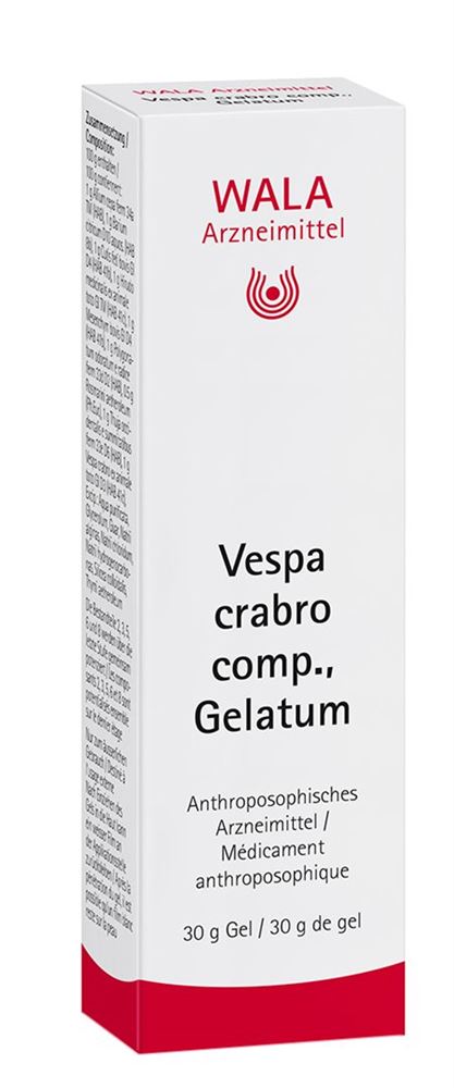 WALA Vespa crabro comp.