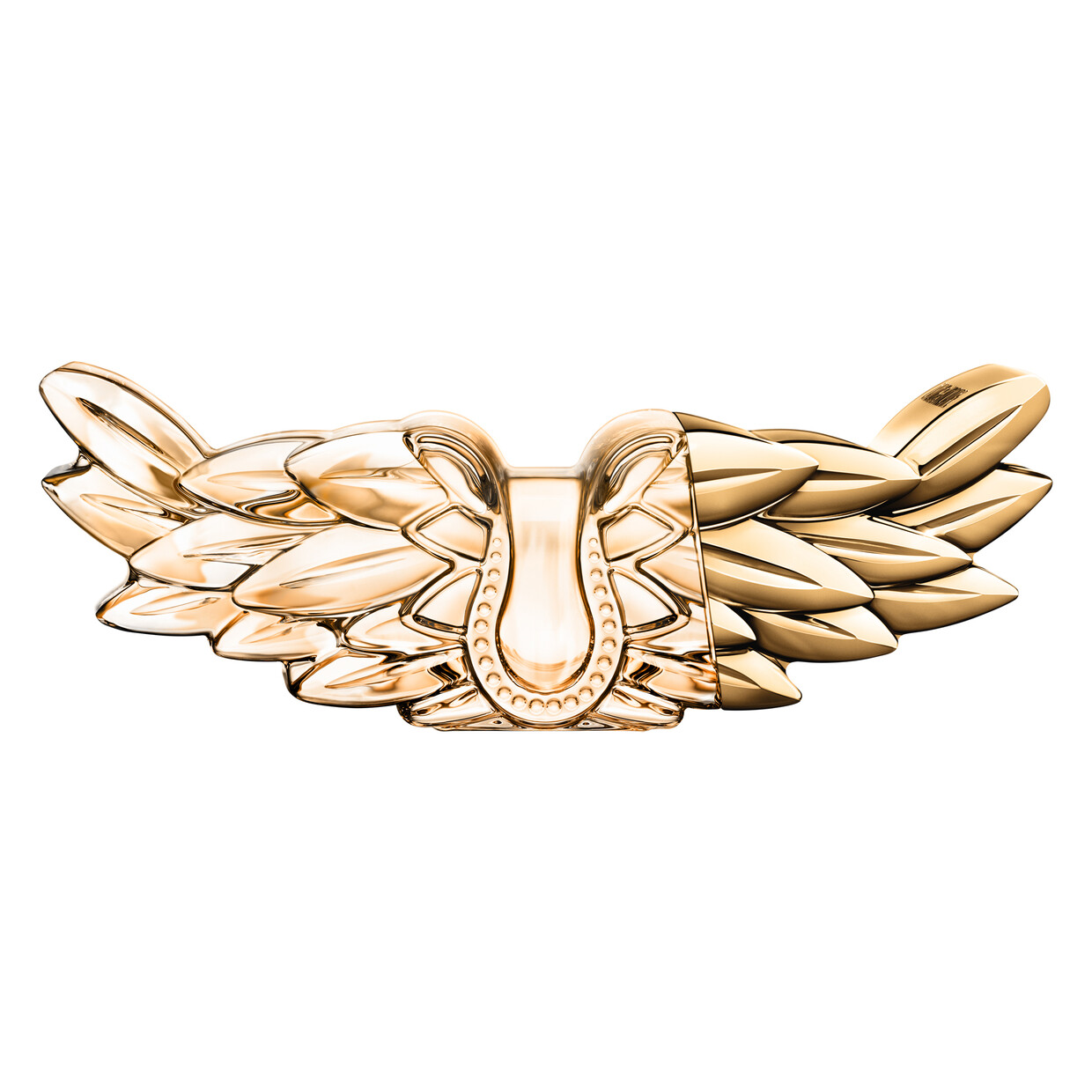 , immagine principale