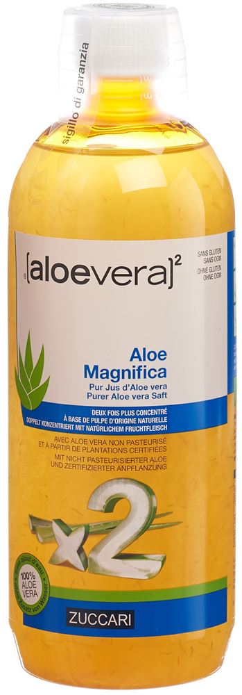ZUCCARI aloe magnifica